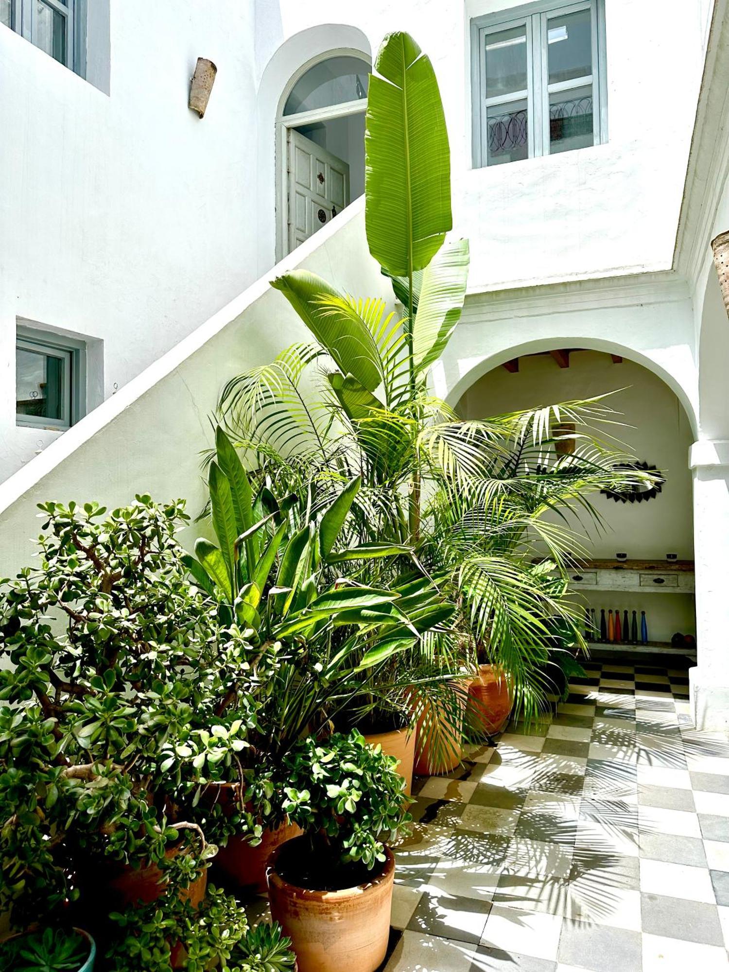 Spacious Private Vejer Patio Home Vejer de la Frontera Dış mekan fotoğraf