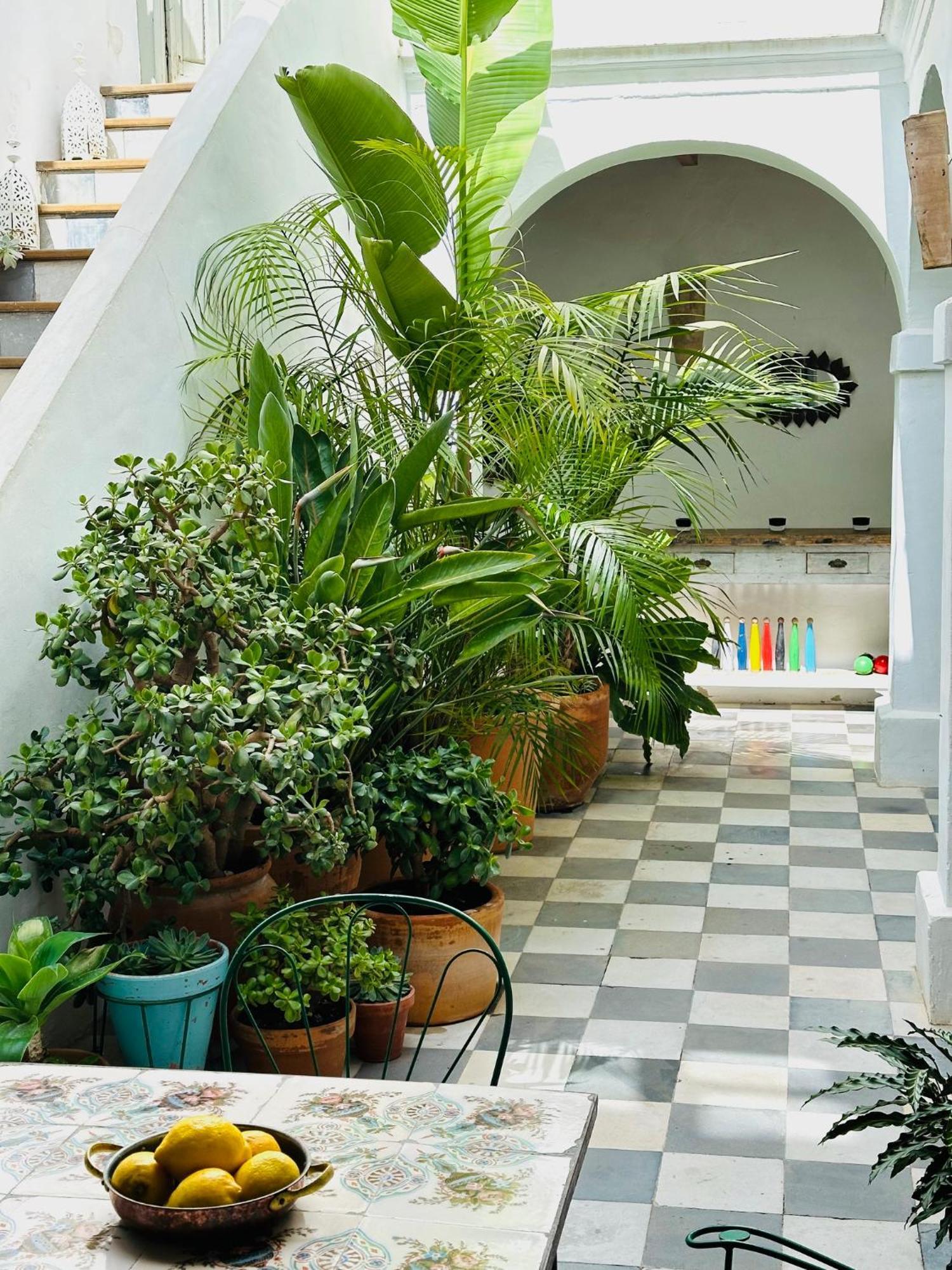Spacious Private Vejer Patio Home Vejer de la Frontera Dış mekan fotoğraf